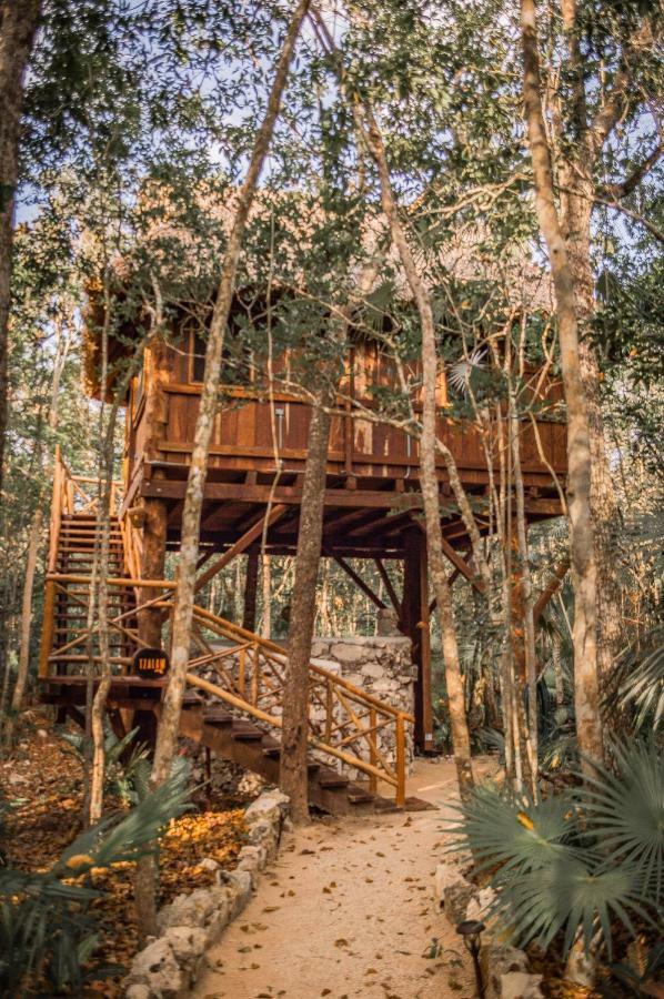Hotel Ajal Tree House Tulum
